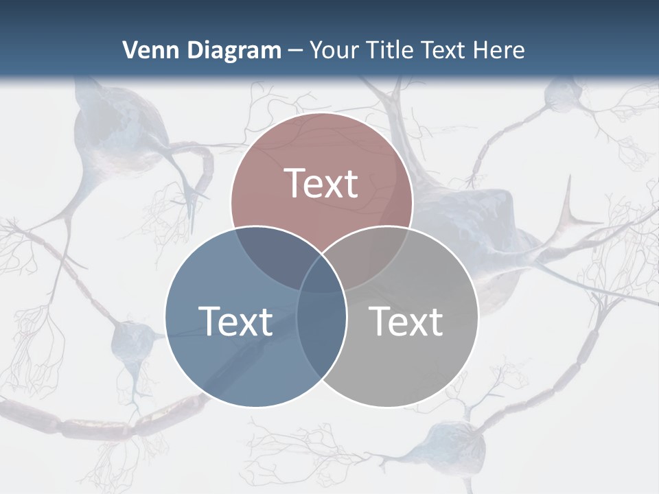Dendrite Brain Biological PowerPoint Template