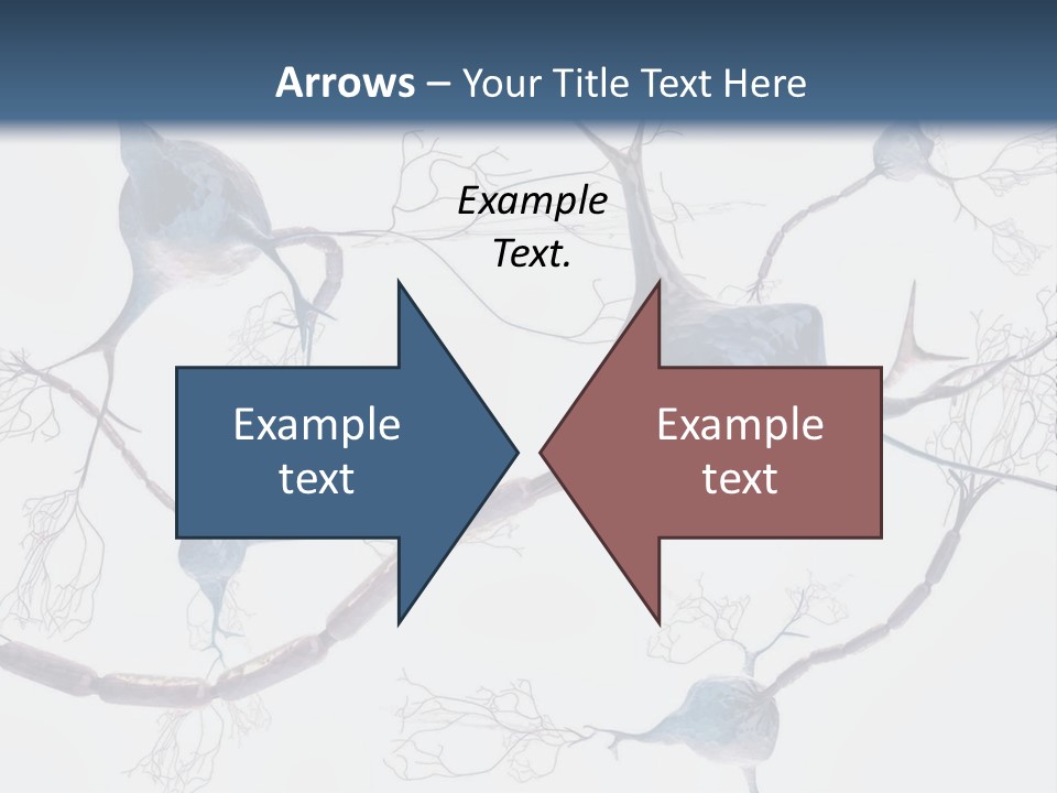 Dendrite Brain Biological PowerPoint Template