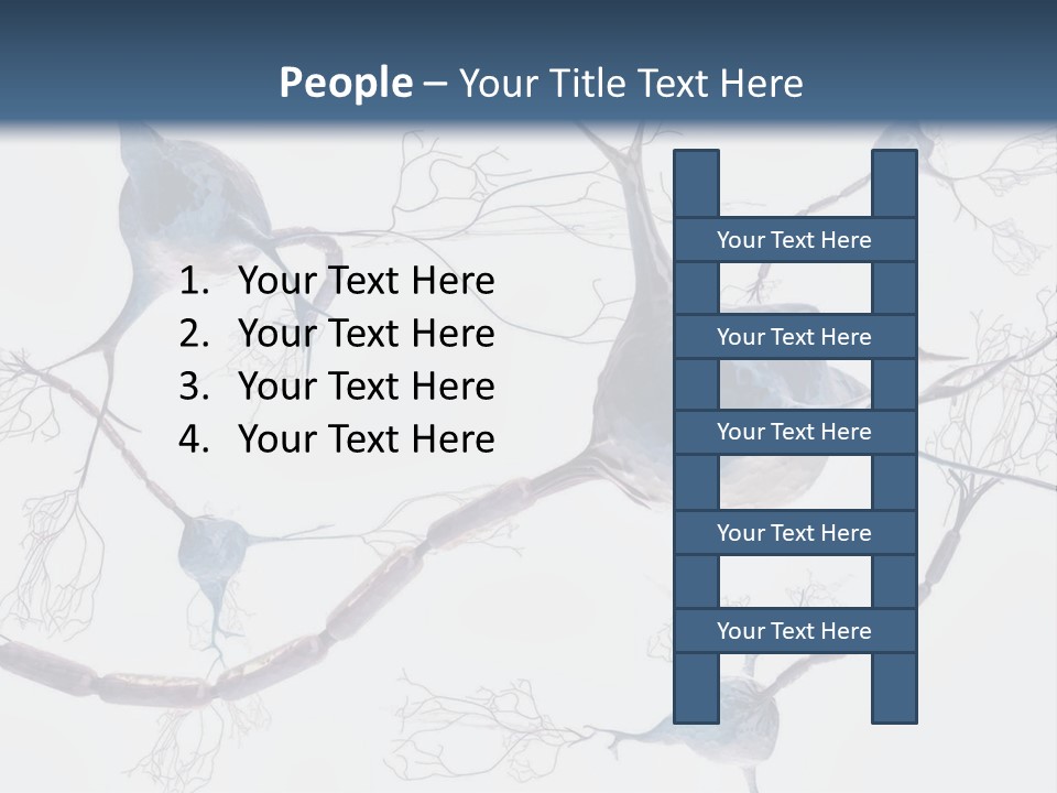 Dendrite Brain Biological PowerPoint Template
