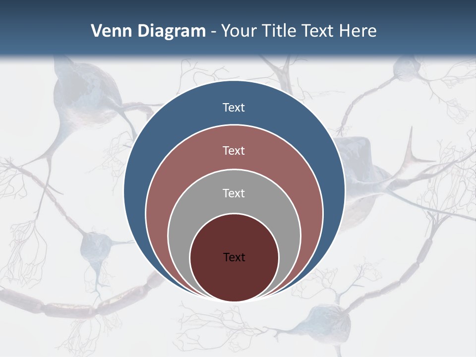 Dendrite Brain Biological PowerPoint Template