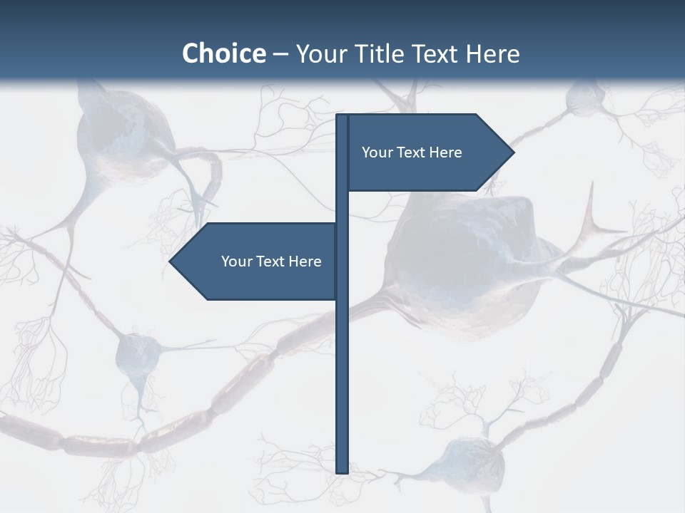 Dendrite Brain Biological PowerPoint Template