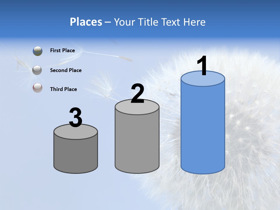 Spring Seed Easy PowerPoint Template