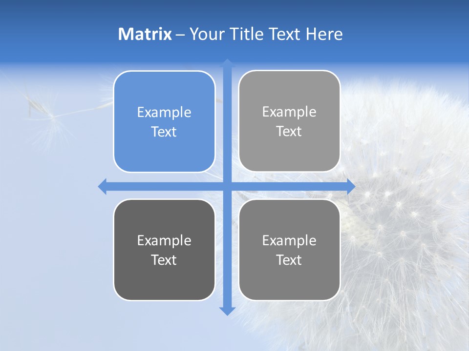 Spring Seed Easy PowerPoint Template