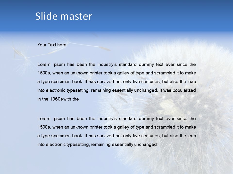 Spring Seed Easy PowerPoint Template