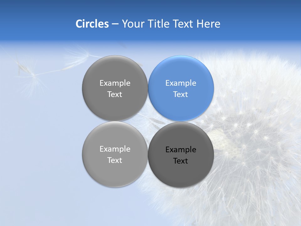Spring Seed Easy PowerPoint Template