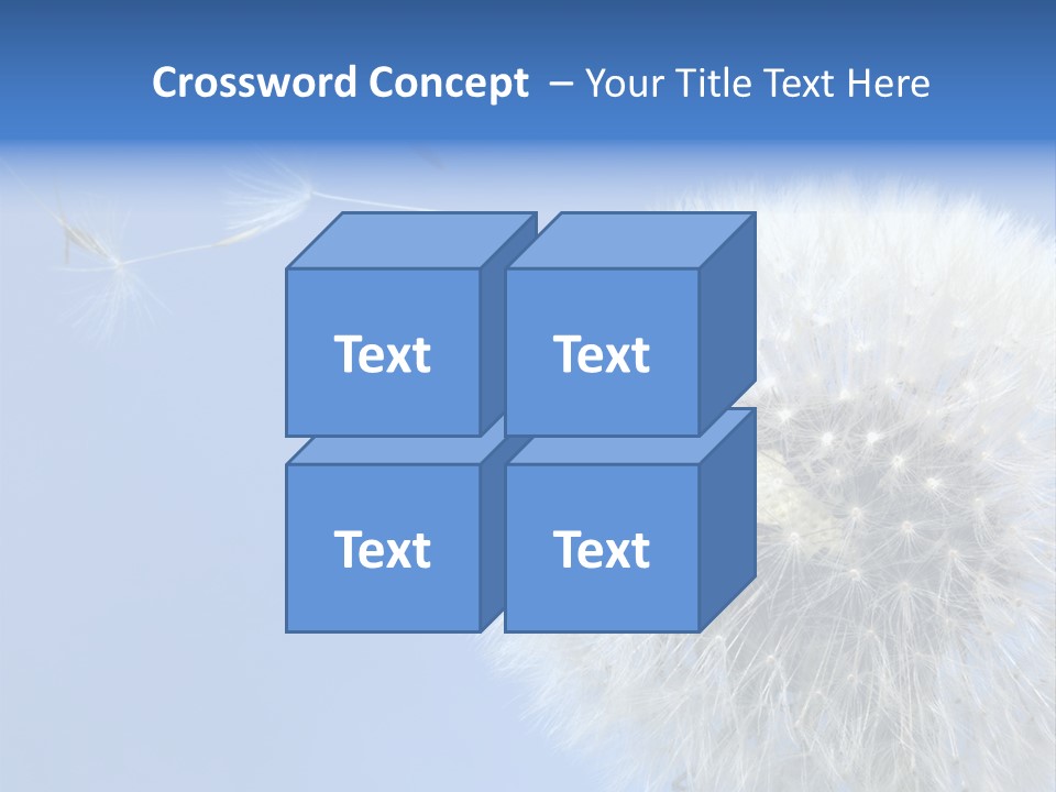 Spring Seed Easy PowerPoint Template