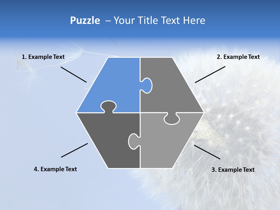 Spring Seed Easy PowerPoint Template