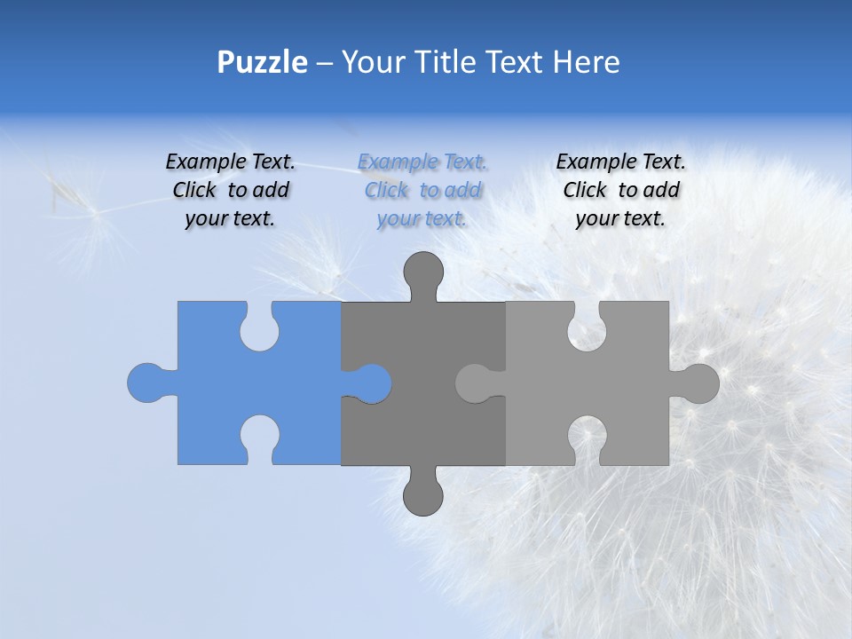 Spring Seed Easy PowerPoint Template