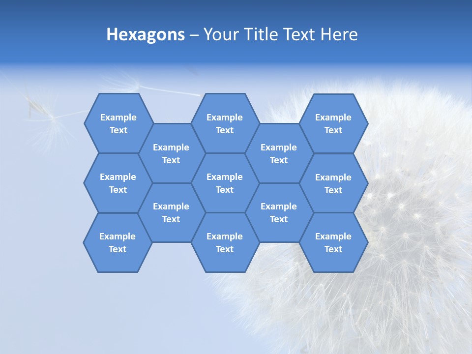 Spring Seed Easy PowerPoint Template