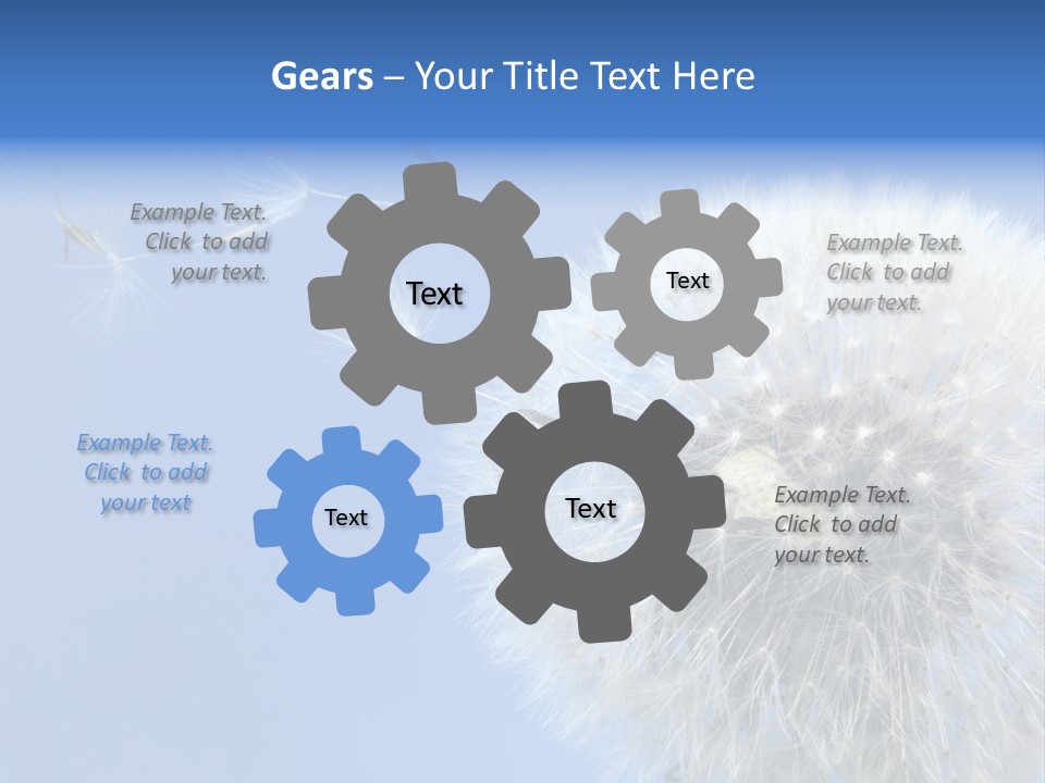 Spring Seed Easy PowerPoint Template