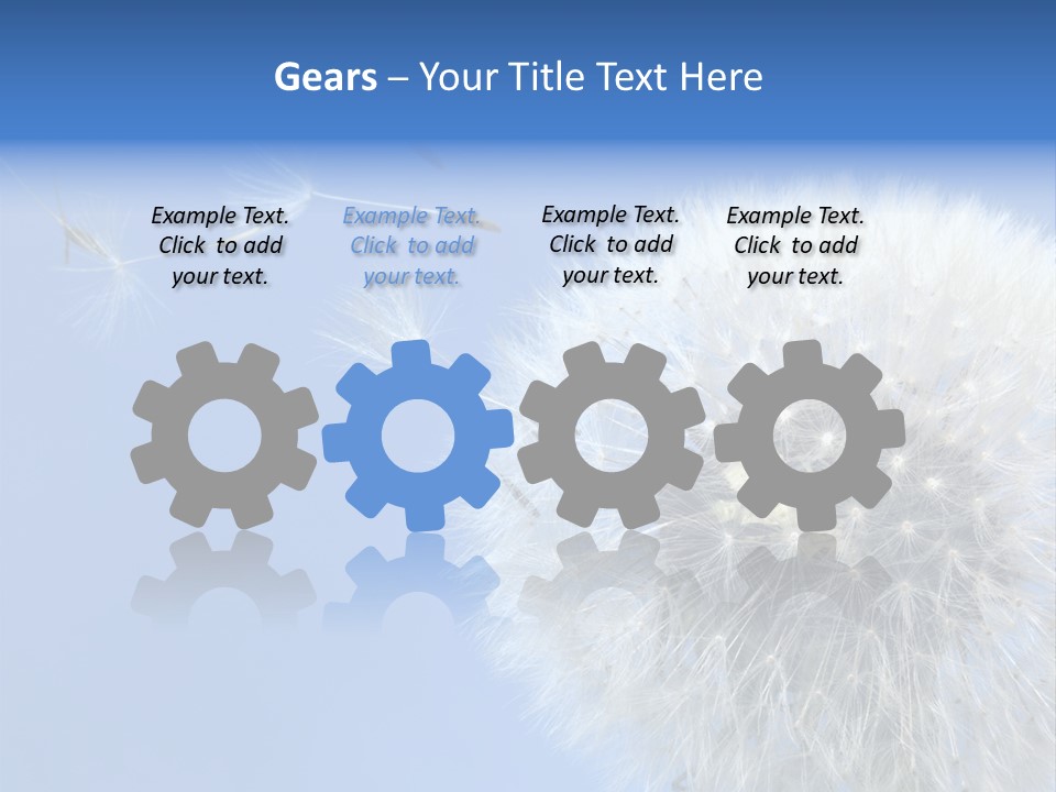 Spring Seed Easy PowerPoint Template