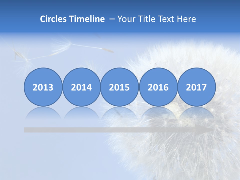 Spring Seed Easy PowerPoint Template