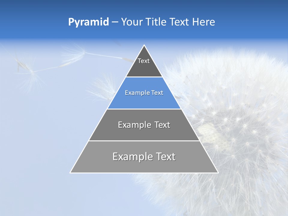 Spring Seed Easy PowerPoint Template