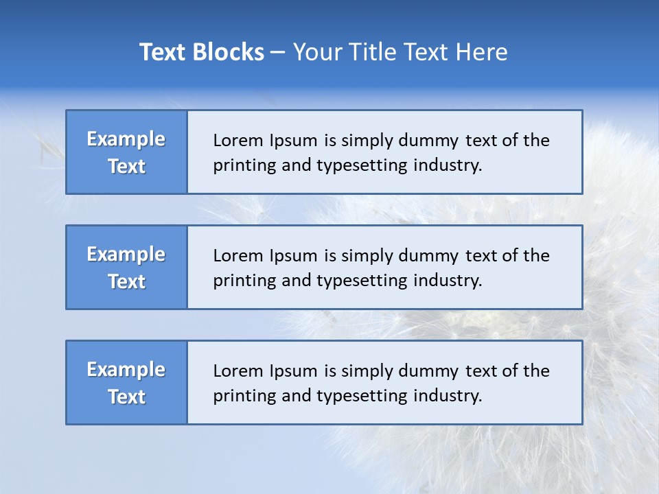 Spring Seed Easy PowerPoint Template