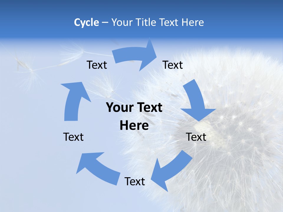 Spring Seed Easy PowerPoint Template