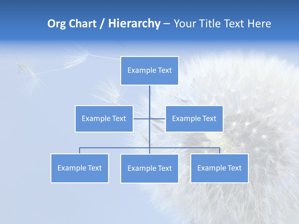 Spring Seed Easy PowerPoint Template