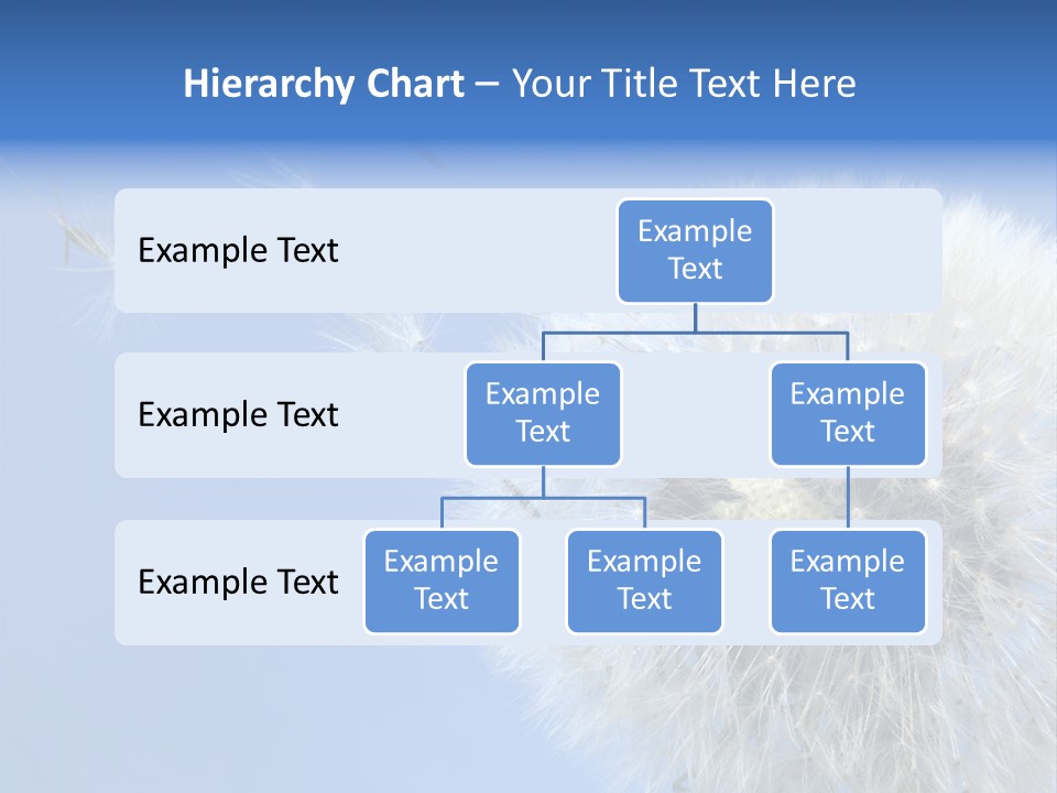 Spring Seed Easy PowerPoint Template