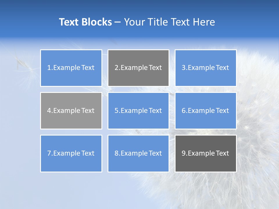 Spring Seed Easy PowerPoint Template