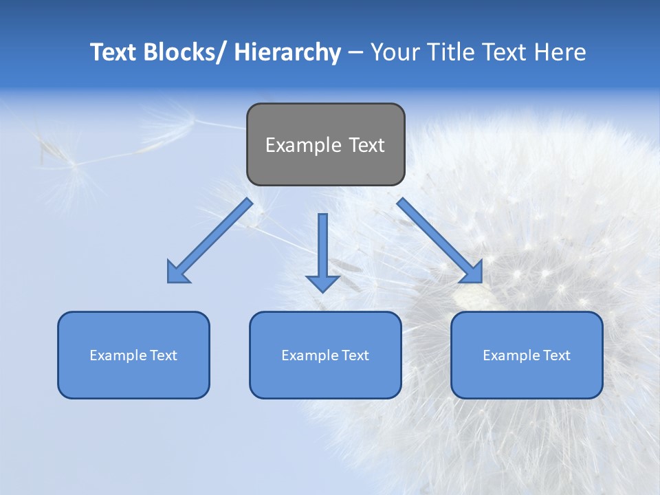 Spring Seed Easy PowerPoint Template