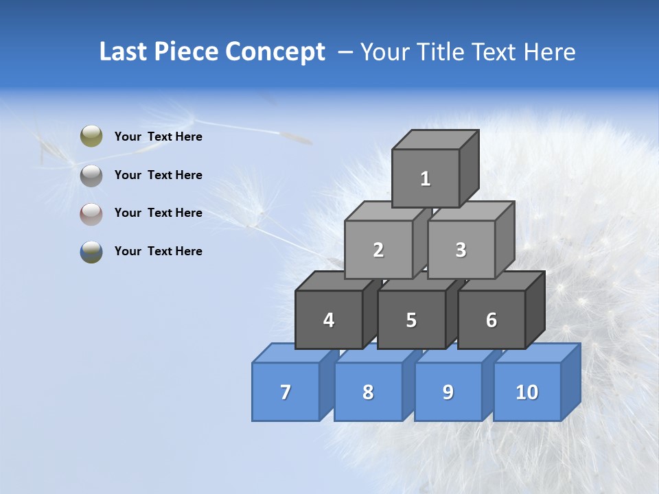 Spring Seed Easy PowerPoint Template