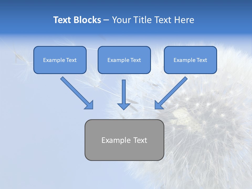 Spring Seed Easy PowerPoint Template