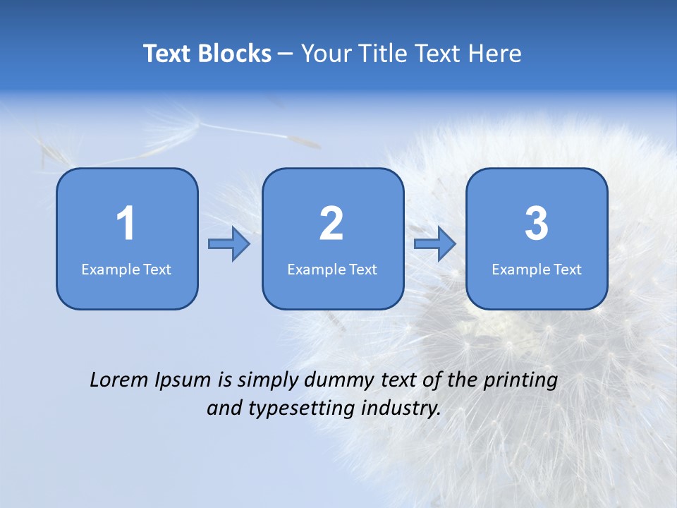 Spring Seed Easy PowerPoint Template