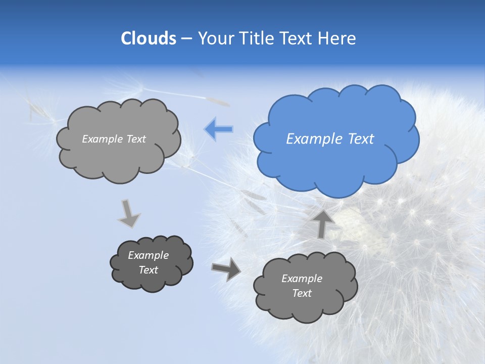 Spring Seed Easy PowerPoint Template