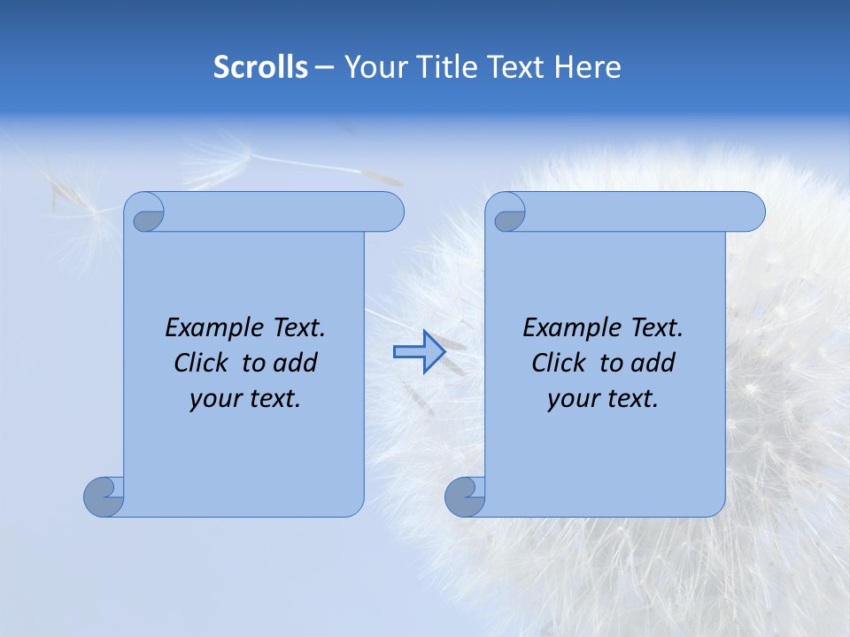 Spring Seed Easy PowerPoint Template
