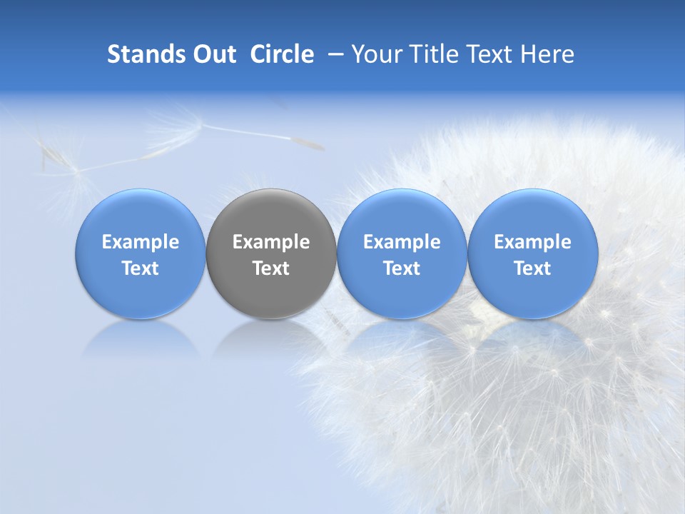 Spring Seed Easy PowerPoint Template