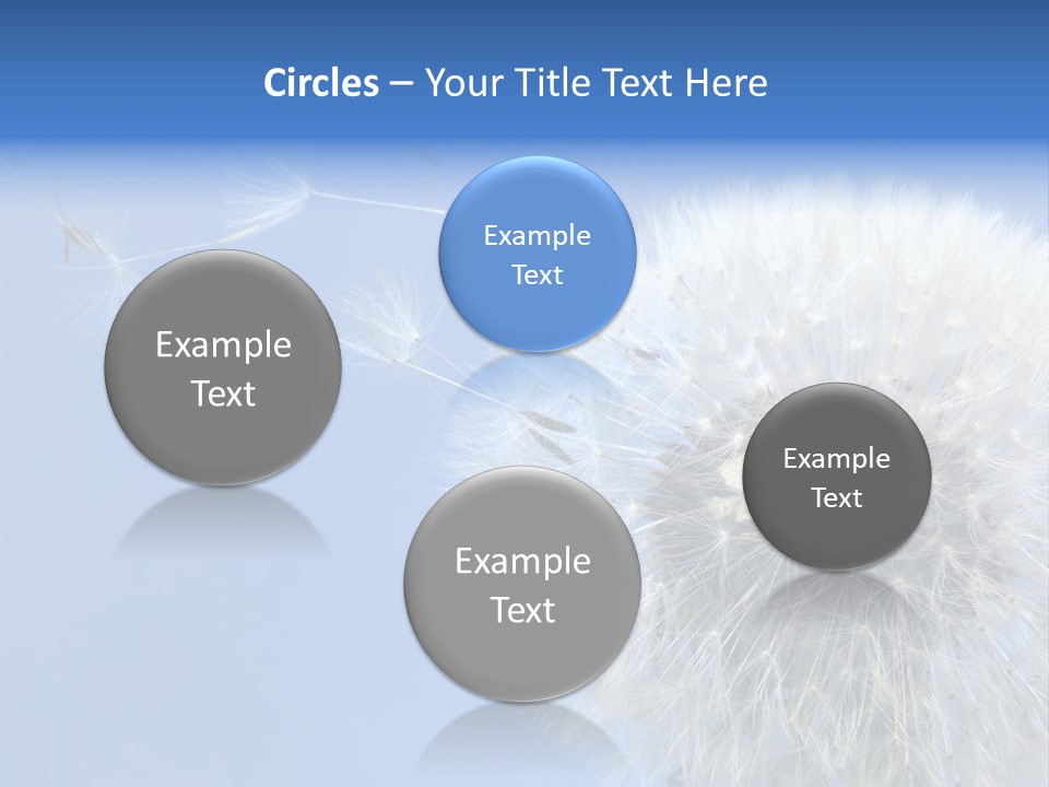 Spring Seed Easy PowerPoint Template