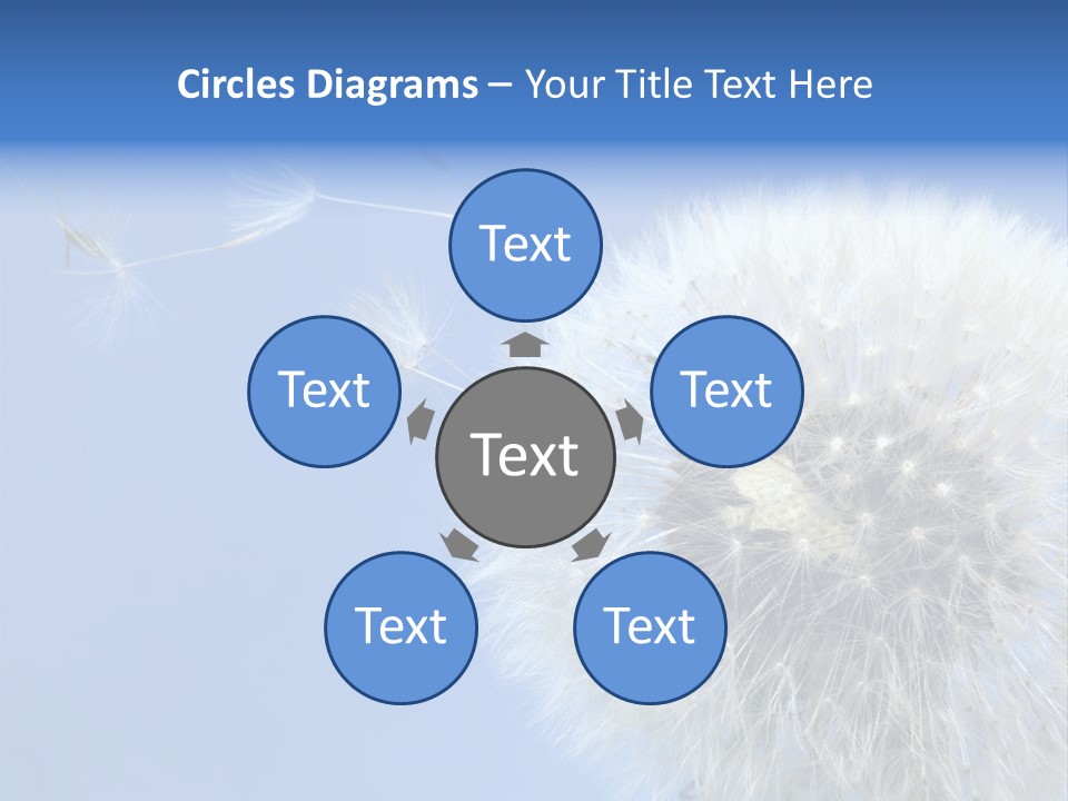 Spring Seed Easy PowerPoint Template