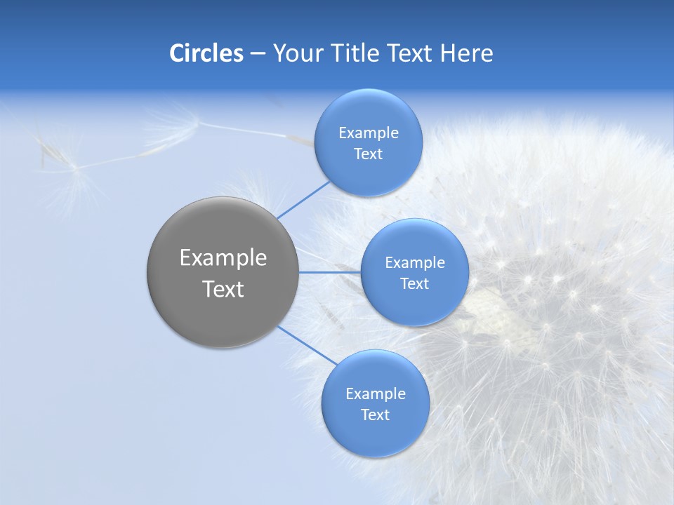 Spring Seed Easy PowerPoint Template