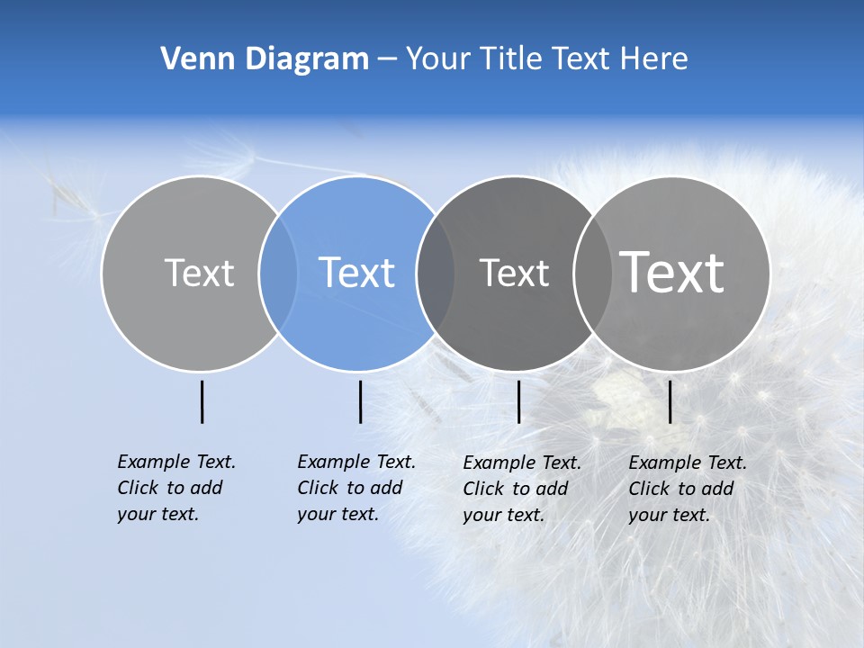 Spring Seed Easy PowerPoint Template