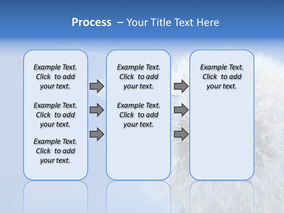 Spring Seed Easy PowerPoint Template