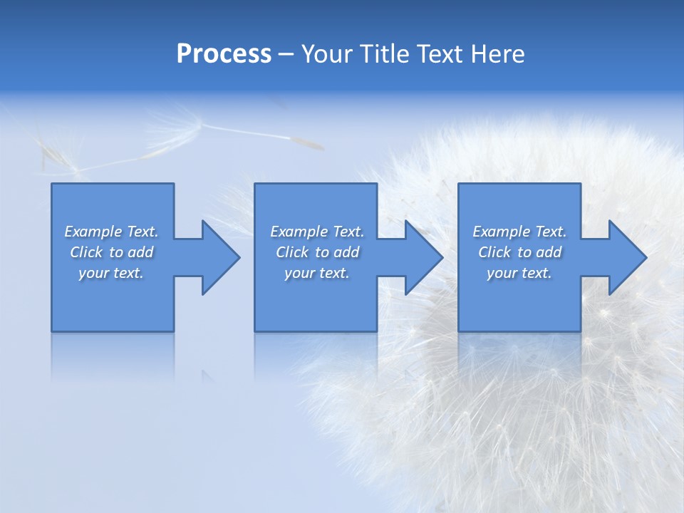 Spring Seed Easy PowerPoint Template