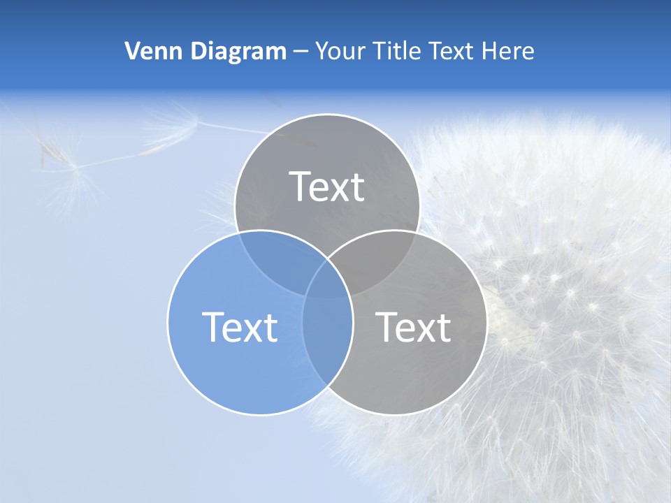 Spring Seed Easy PowerPoint Template