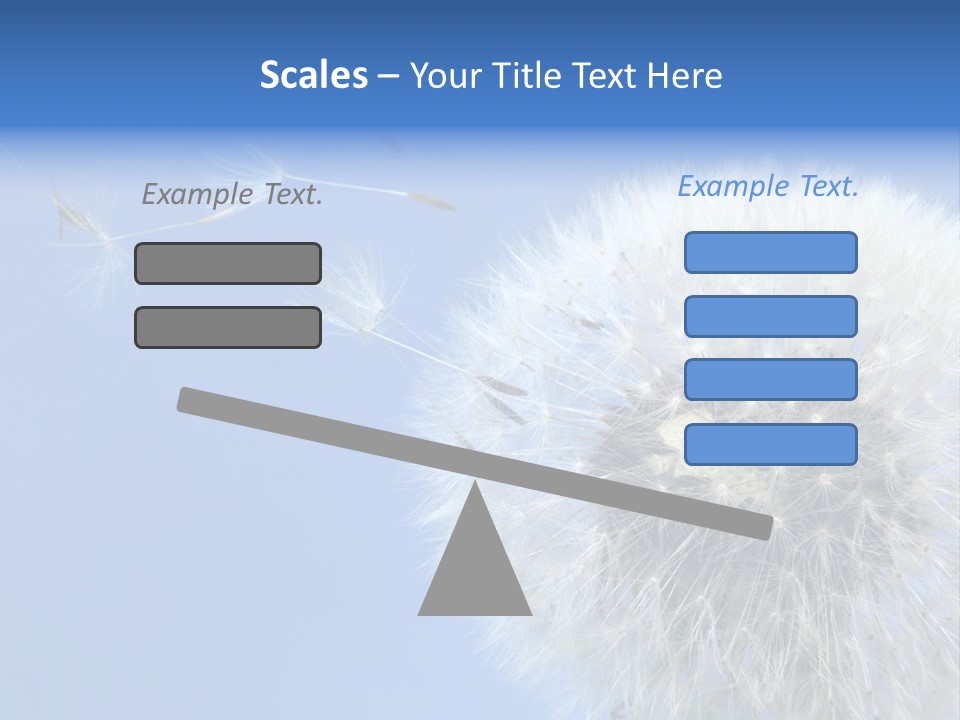 Spring Seed Easy PowerPoint Template