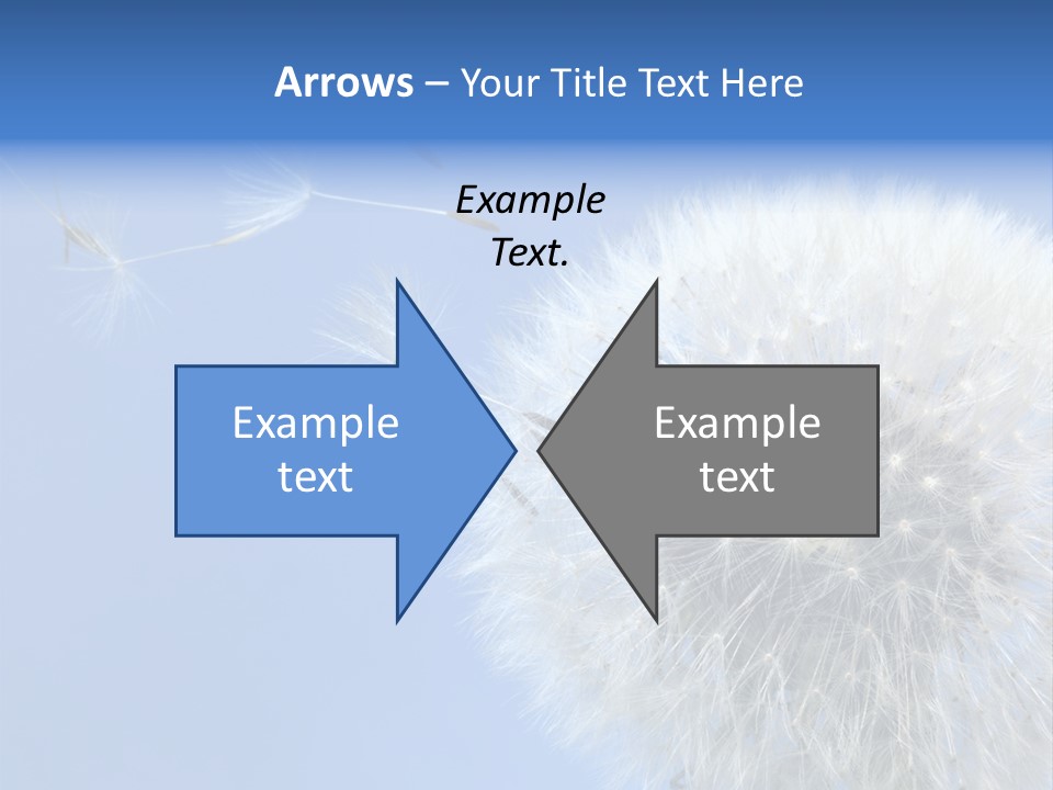 Spring Seed Easy PowerPoint Template