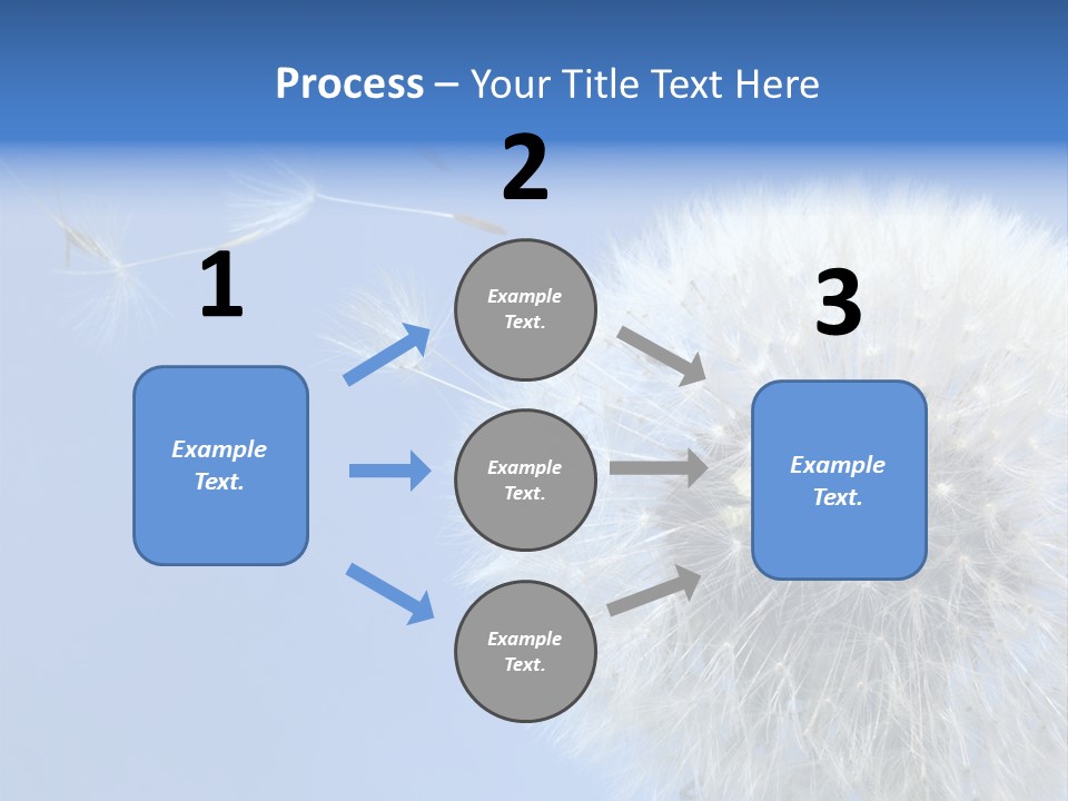 Spring Seed Easy PowerPoint Template
