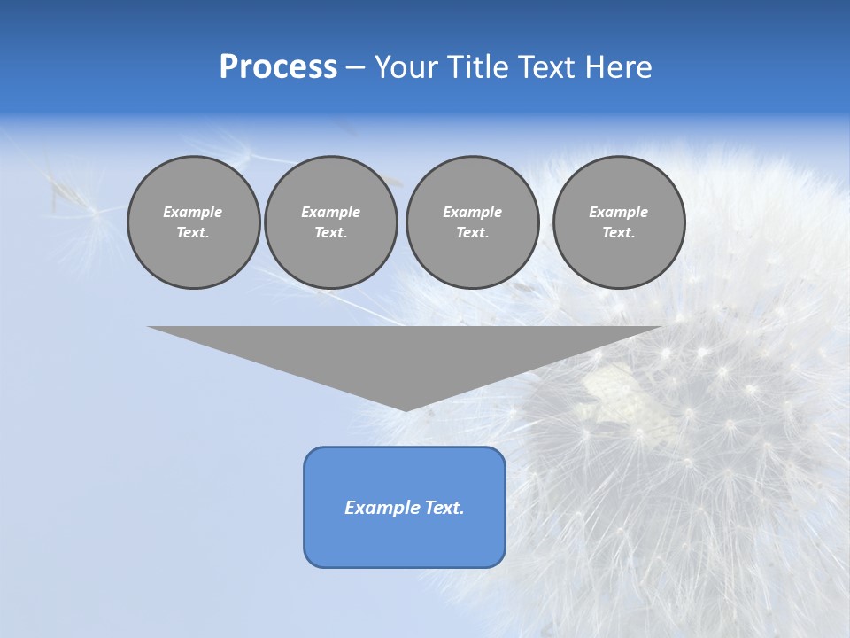 Spring Seed Easy PowerPoint Template
