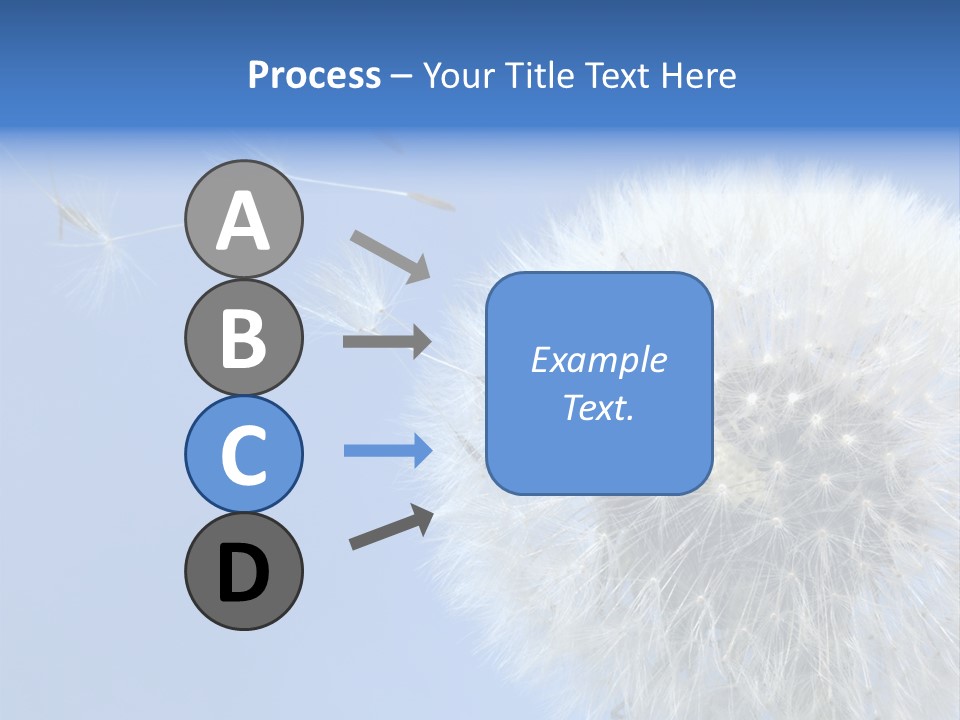 Spring Seed Easy PowerPoint Template