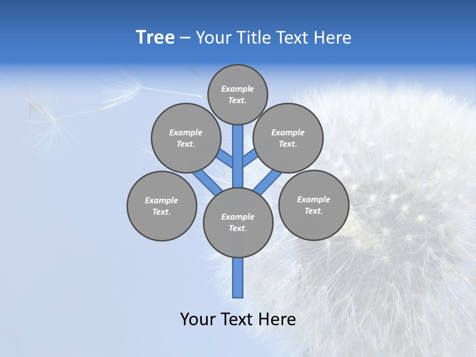 Spring Seed Easy PowerPoint Template