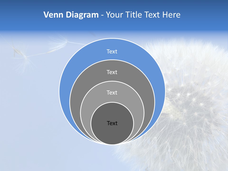 Spring Seed Easy PowerPoint Template