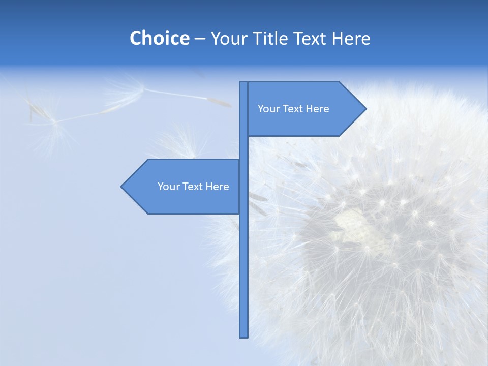 Spring Seed Easy PowerPoint Template