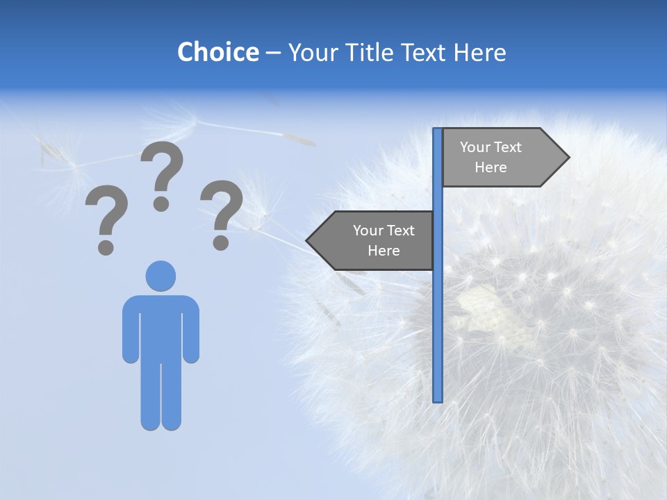 Spring Seed Easy PowerPoint Template