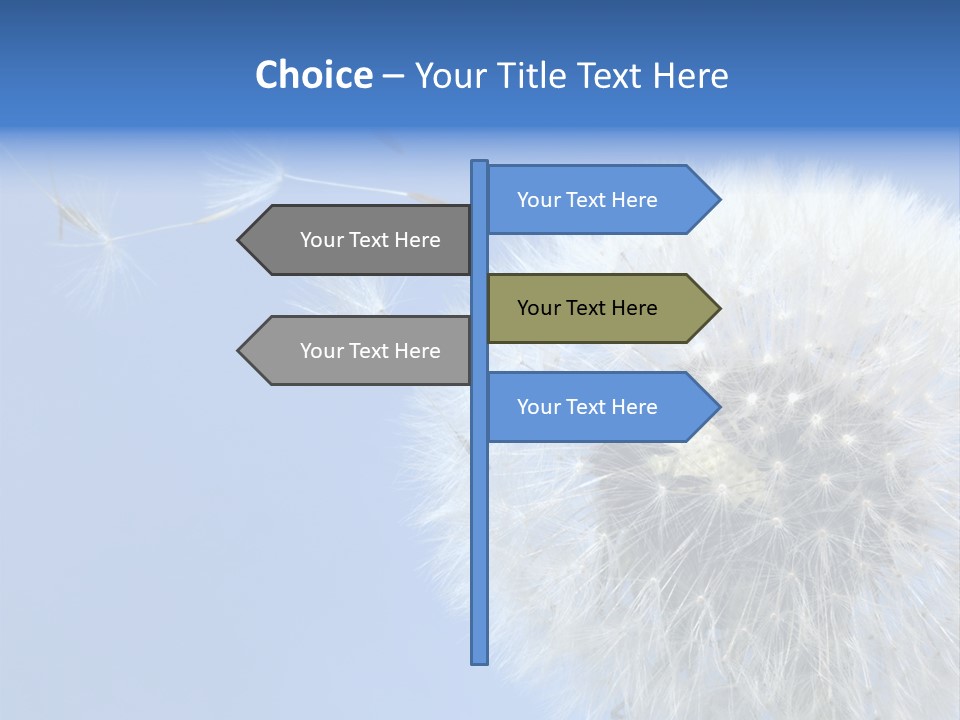 Spring Seed Easy PowerPoint Template