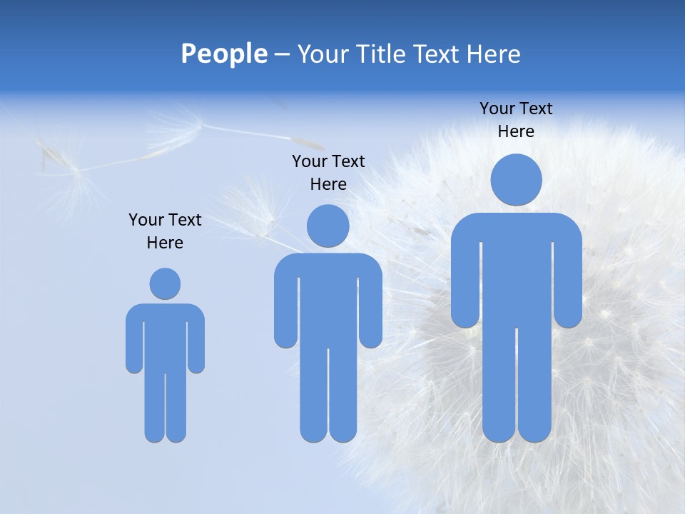 Spring Seed Easy PowerPoint Template