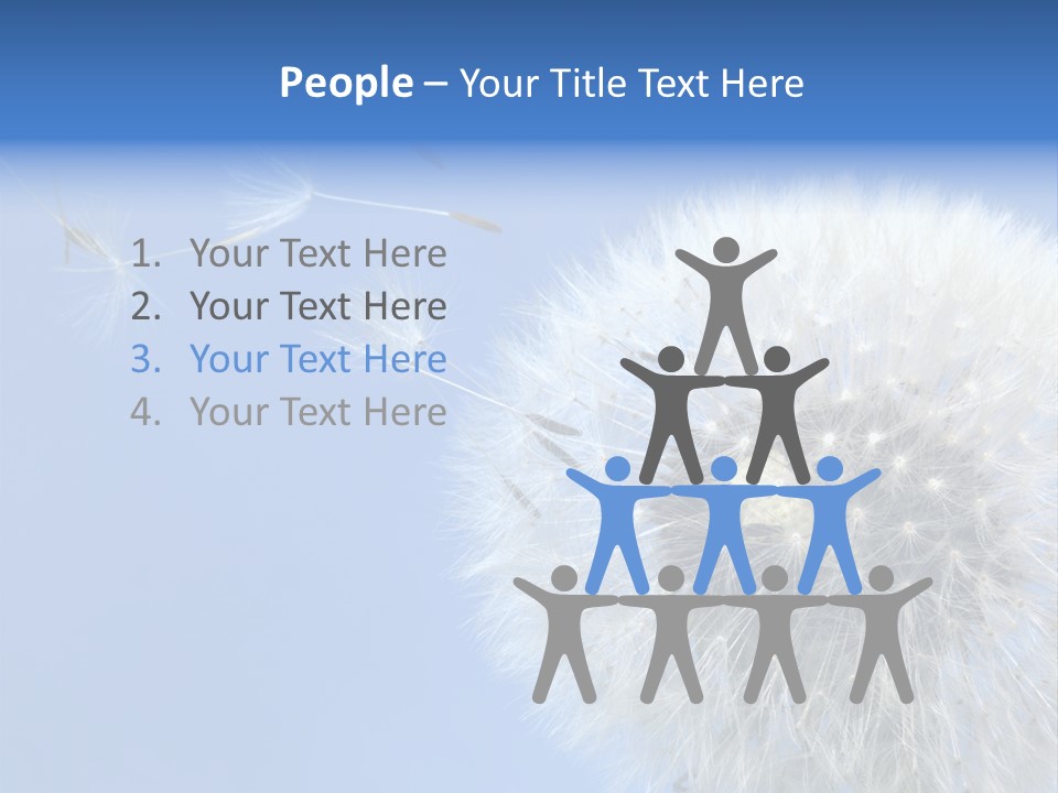 Spring Seed Easy PowerPoint Template