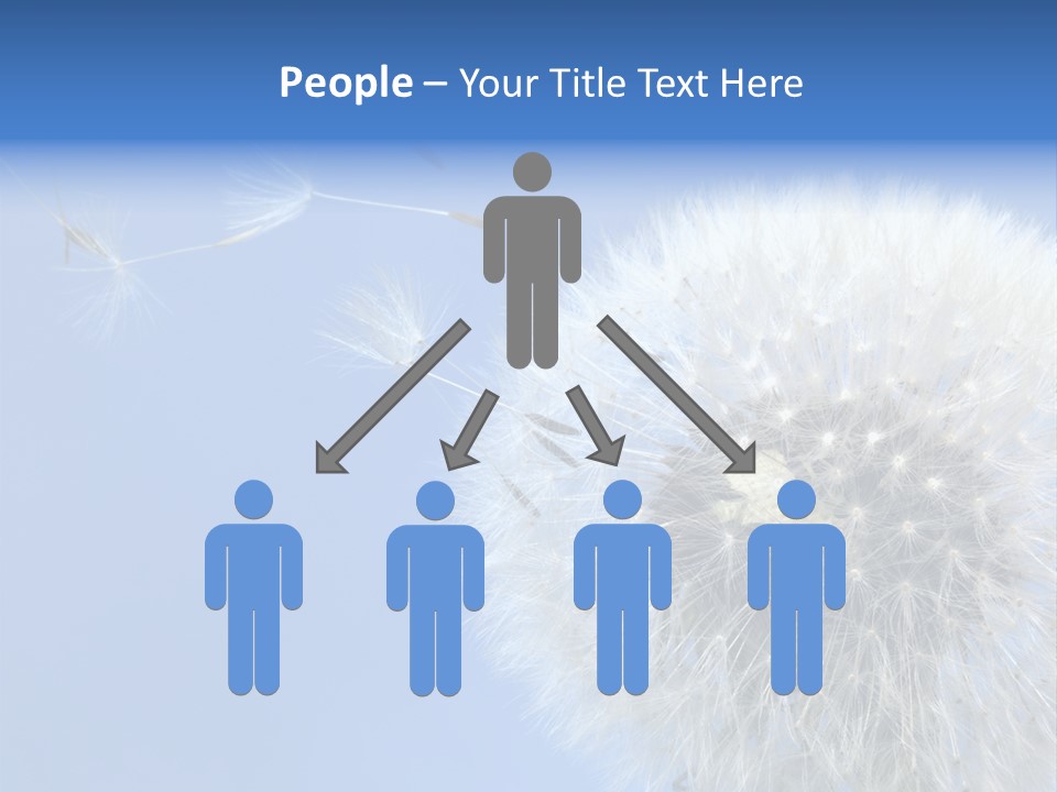 Spring Seed Easy PowerPoint Template