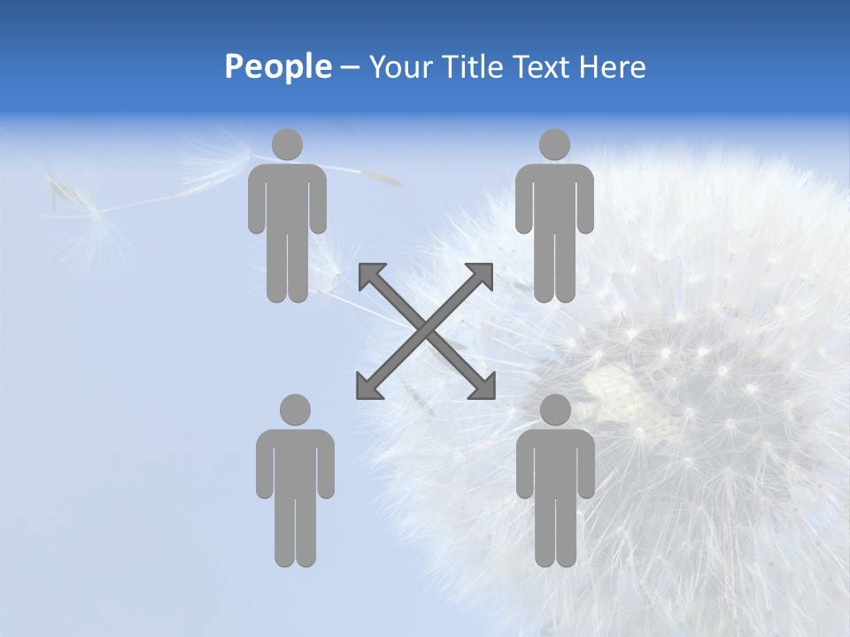 Spring Seed Easy PowerPoint Template